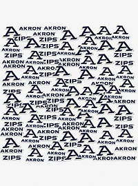 University Of Akron 100Ct Sticker Pack