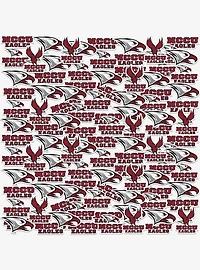 North Carolina Central University 100Ct Sticker Pack