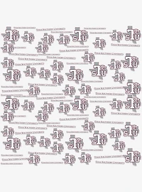 Texas Southern University 100Ct Sticker Pack