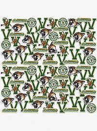 University Of Vermont 100Ct Sticker Pack