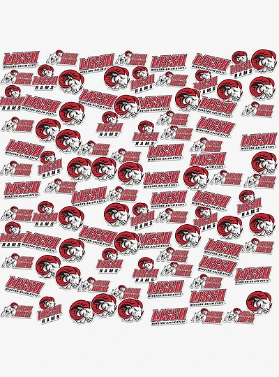 Winston-Salem State University 100Ct Sticker Pack