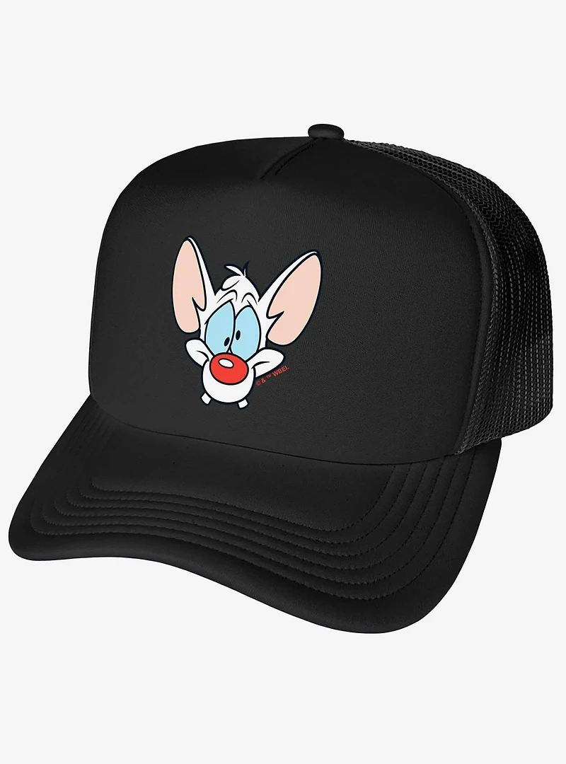 Pinky And The Brain Pinky Head Foam Trucker Hat