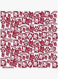 Bates College 100ct Sticker Pack
