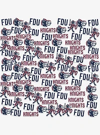 Fairleigh Dickinson University Knights 100ct Sticker Pack