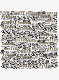 Purdue Fort Wayne 100ct Sticker Pack