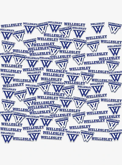 Wellesley College 100ct Sticker Pack
