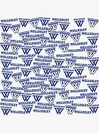 Wellesley College 100ct Sticker Pack