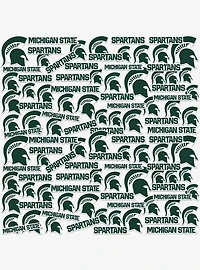 Michigan State University Spartans 100 Ct Sticker Pack
