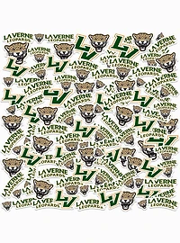 University Of La Verne Leopards 100 Ct. Sticker Pack