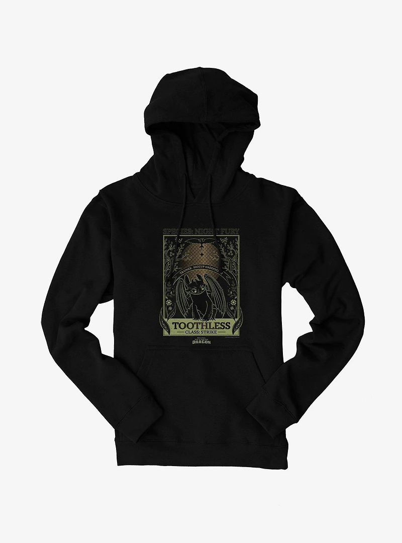 How To Train Your Dragon Toothless Species Card Hoodie