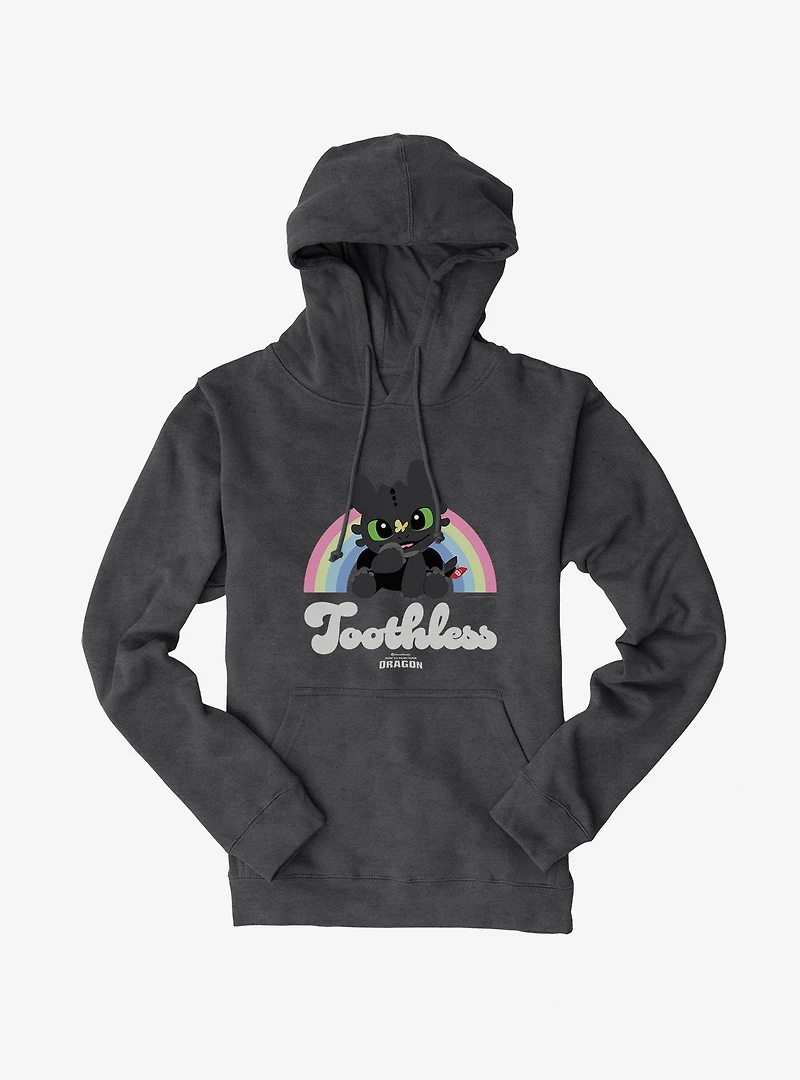 How To Train Your Dragon Toothless Rainbow Hoodie