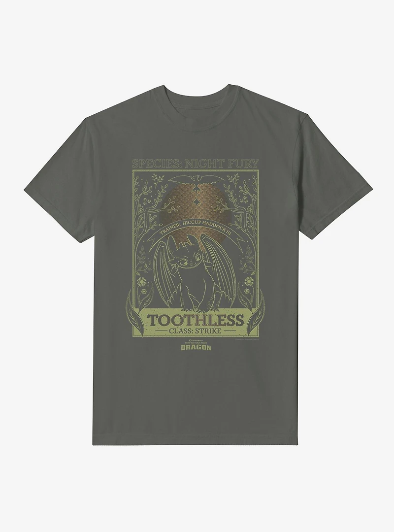 How To Train Your Dragon Toothless Species Card Garment Dye T-Shirt
