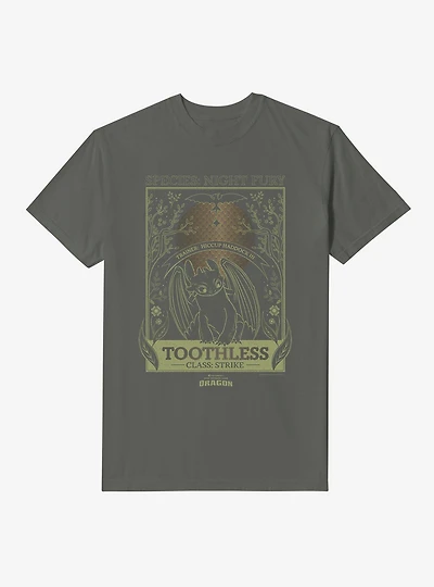 How To Train Your Dragon Toothless Species Card Garment Dye T-Shirt
