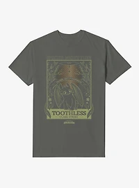 How To Train Your Dragon Toothless Species Card Garment Dye T-Shirt