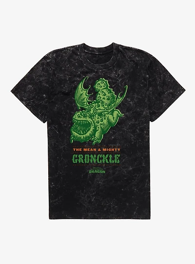How To Train Your Dragon Mean & Mighty Gronckle Mineral Wash T-Shirt