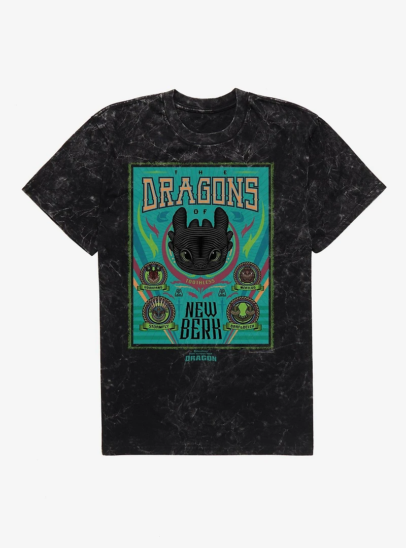 How To Train Your Dragon New Berk Dragons Mineral Wash T-Shirt