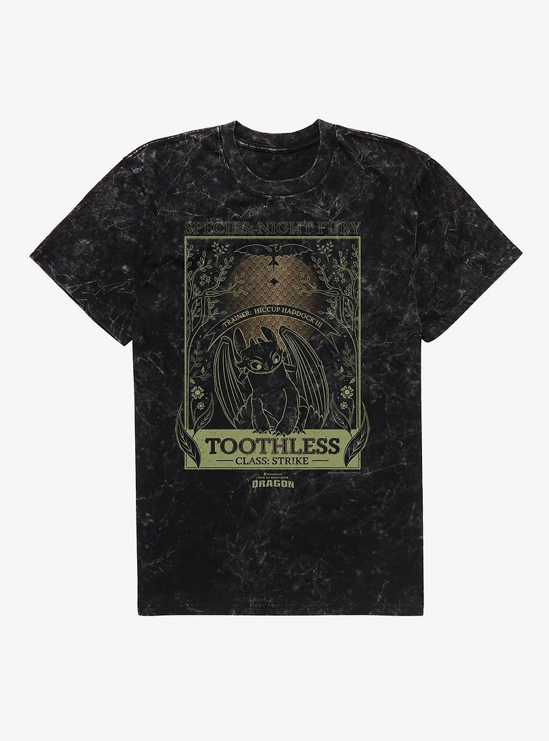 How To Train Your Dragon Toothless Species Card Mineral Wash T-Shirt