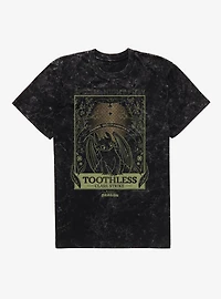 How To Train Your Dragon Toothless Species Card Mineral Wash T-Shirt