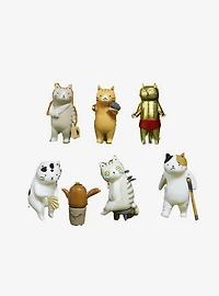 Cat Kung Fu Clinic Blind Box Figure