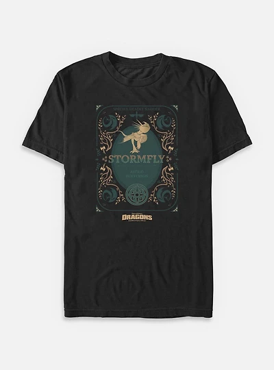 How To Train Your Dragon Stormfly Big & Tall T-Shirt