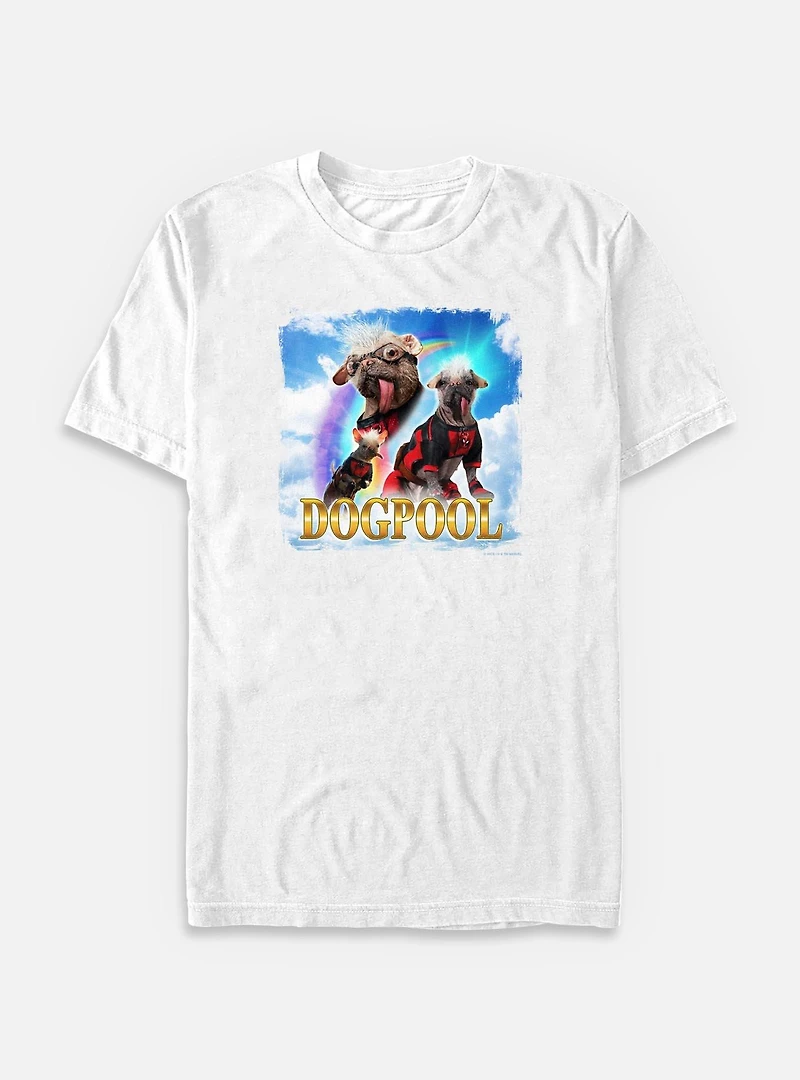 Marvel Deadpool & Wolverine Sky Dogpool Big Tall T-Shirt