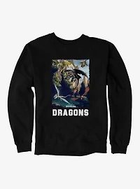 How To Train Your Dragon Dragons Sweatshirt