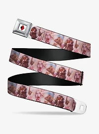 DC Comics Harley Quinn Deceased Variant Seatbelt Buckle Belt