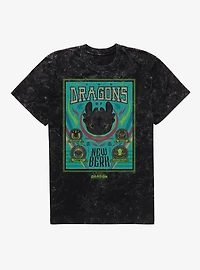 How To Train Your Dragon The Dragons Of New Berk Mineral Wash T-Shirt