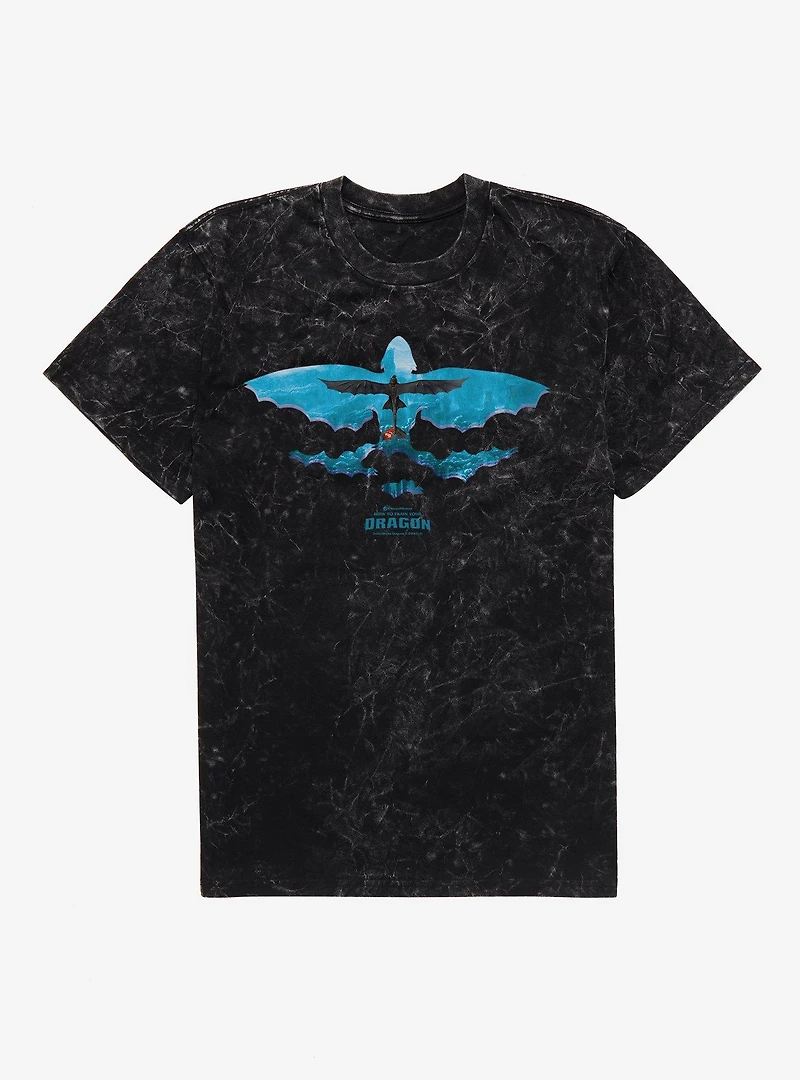 How To Train Your Dragon Toothless Takes Flight Mineral Wash T-Shirt