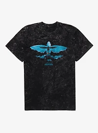 How To Train Your Dragon Toothless Takes Flight Mineral Wash T-Shirt