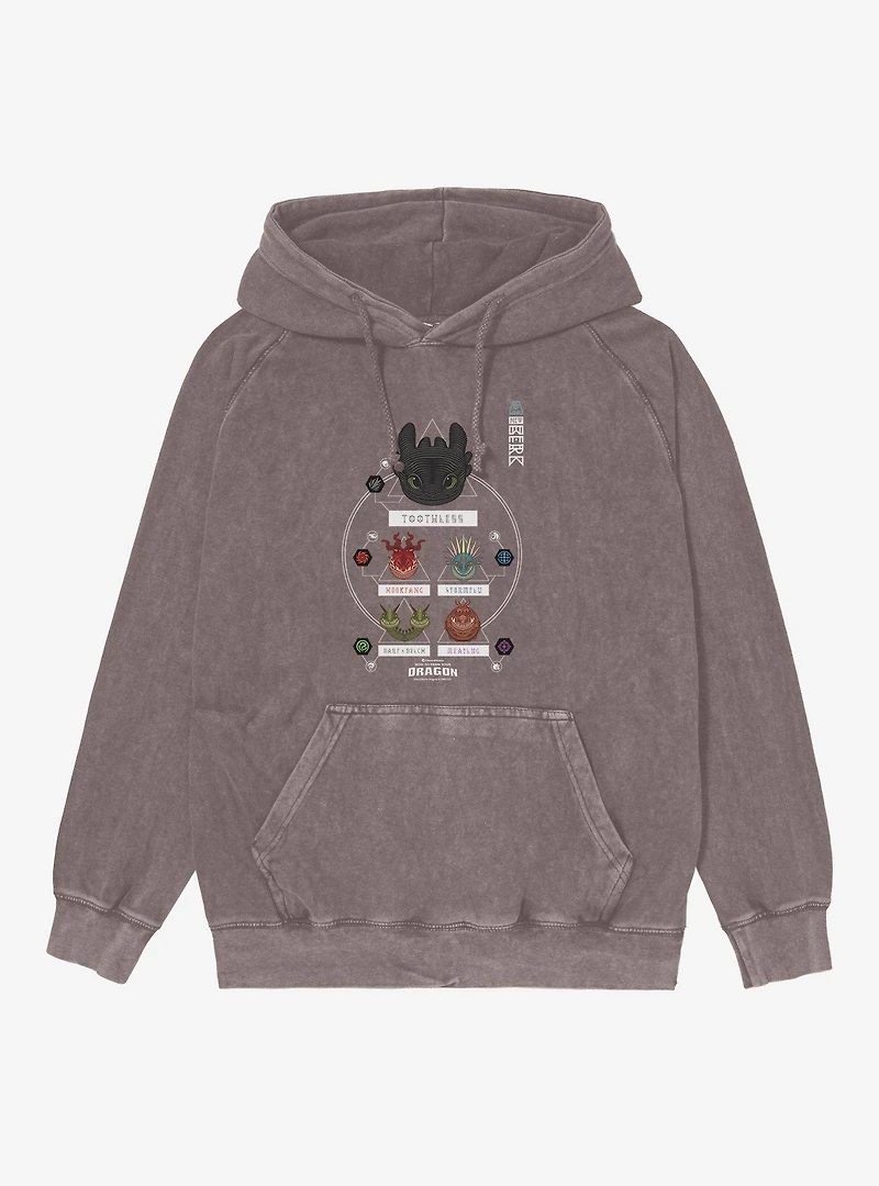 How To Train Your Dragon Chart Mineral Wash Hoodie
