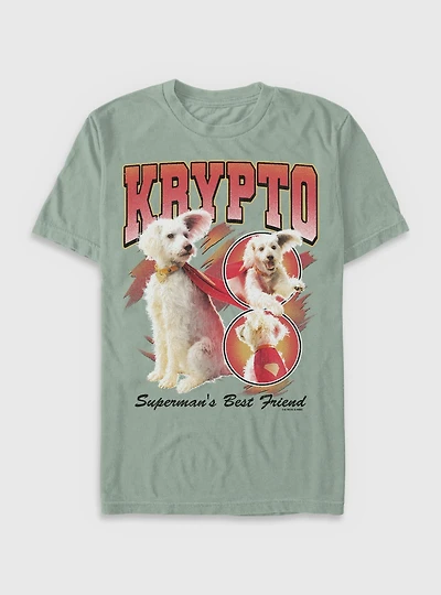 DC Comics Superman Krypto Superman's Best Friend Garment Dye T-Shirt BoxLunch Exclusive