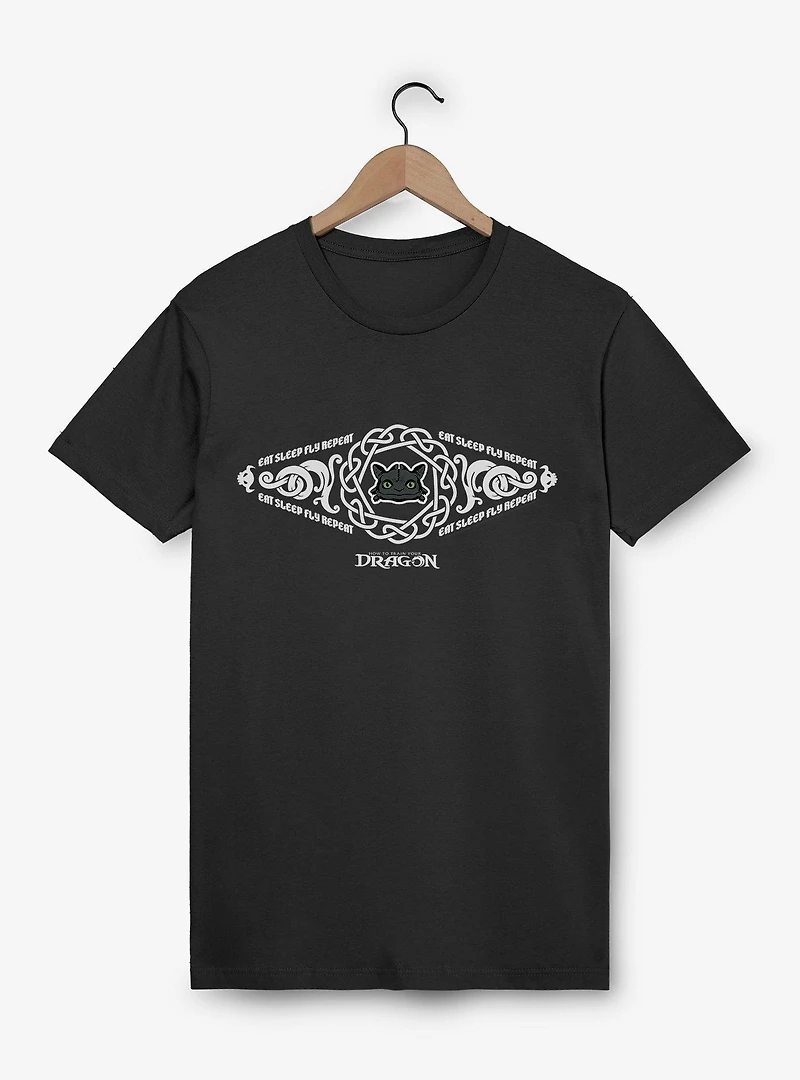 How To Train Your Dragon Eat Sleep Fly Repeat T-Shirt
