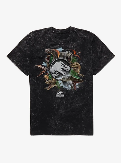 Jurassick World Rebirth Dinosaurs Mineral Wash T-Shirt