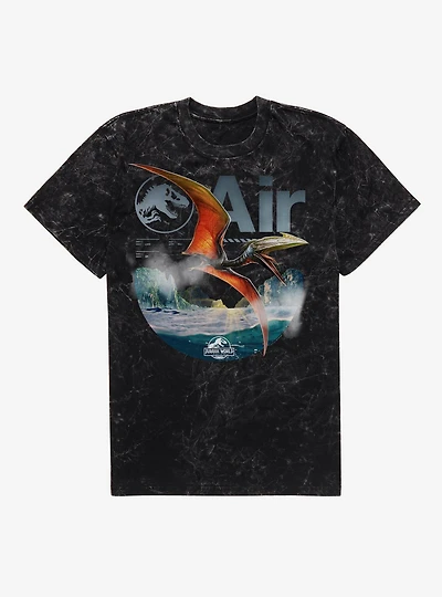 Jurassick World Rebirth Air Quetzalcoatlus Mineral Wash T-Shirt
