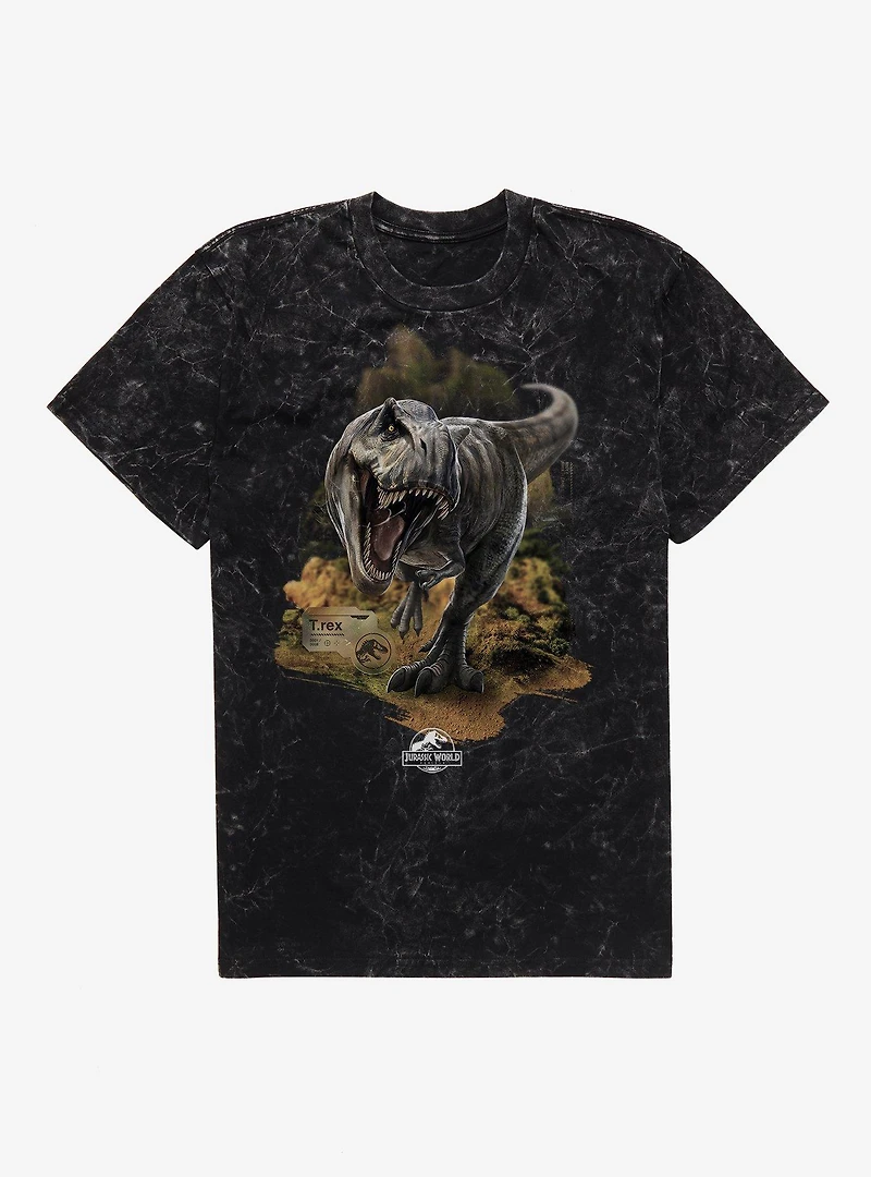 Jurassick World Rebirth T.Rex Mineral Wash T-Shirt