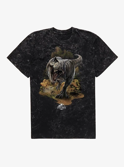 Jurassick World Rebirth T.Rex Mineral Wash T-Shirt
