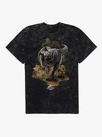 Jurassick World Rebirth T.Rex Mineral Wash T-Shirt
