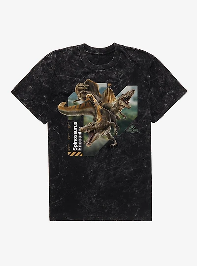 Jurassick World Rebirth Spinosaurs Encounter Mineral Wash T-Shirt