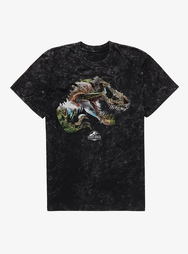 Jurassick World Rebirth Dinosaur Collage Logo Mineral Wash T-Shirt