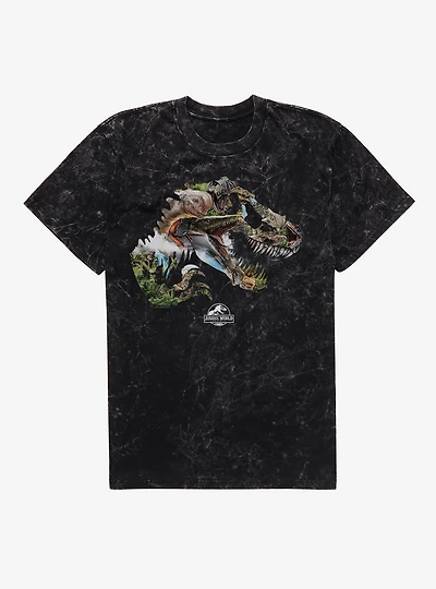 Jurassick World Rebirth Dinosaur Collage Logo Mineral Wash T-Shirt