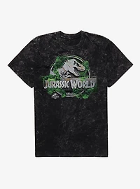 Jurassick World Rebirth Jungle Logo Mineral Wash T-Shirt
