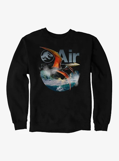 Jurassick World Rebirth Air Quetzalcoatlus Sweatshirt
