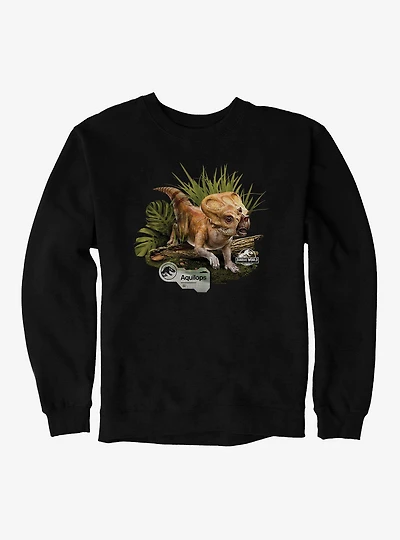 Jurassick World Rebirth Aquilops Sweatshirt