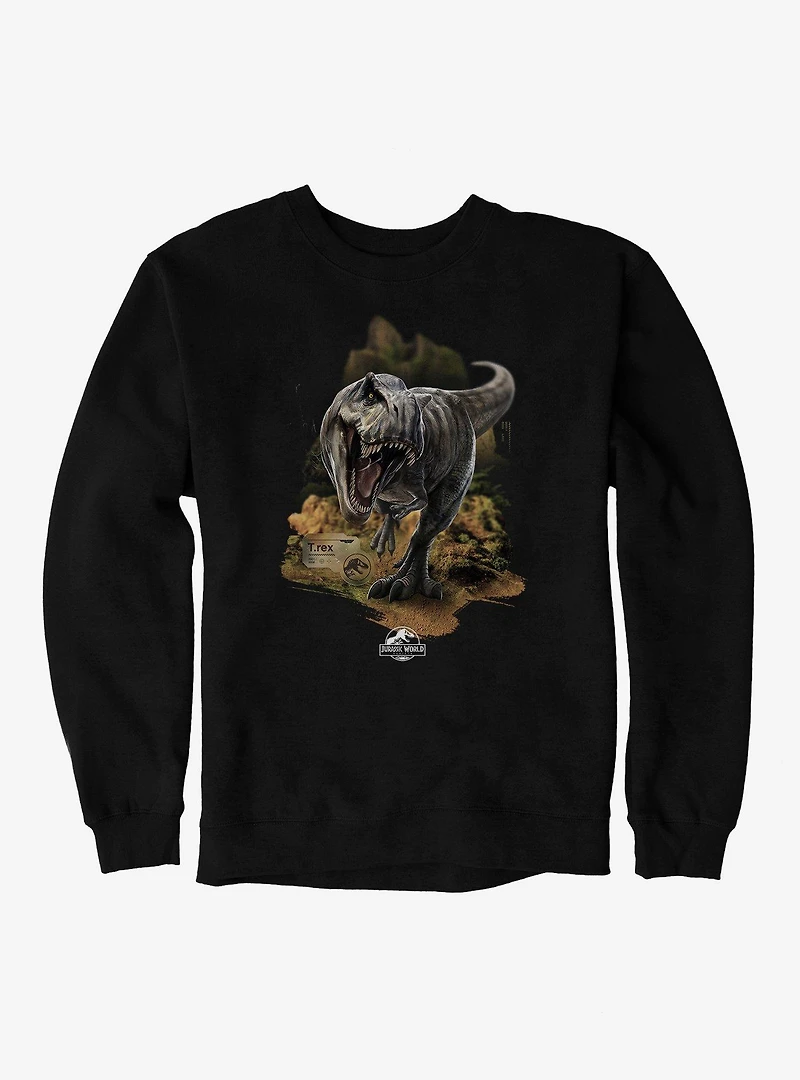 Jurassick World Rebirth T.Rex Sweatshirt