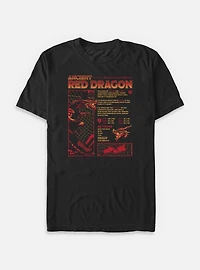 Dungeons & Dragons Red Dragon Stats Big Tall T-Shirt