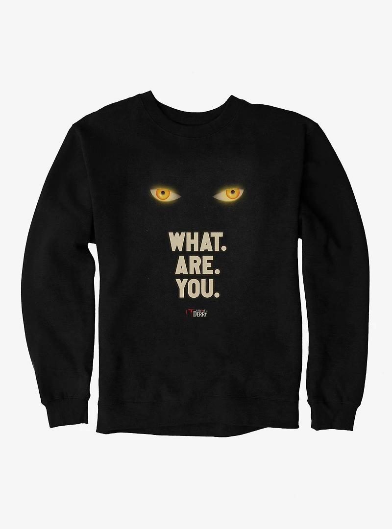 IT Welcome To Derry What. Are. You. Sweatshirt