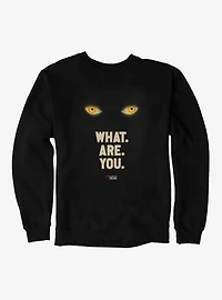 IT Welcome To Derry What. Are. You. Sweatshirt