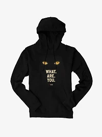 IT Welcome To Derry What. Are. You. Hoodie