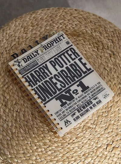 Harry Potter Daily Prophet Undesirable No. 1 Tab Journal - BoxLunch Exclusive